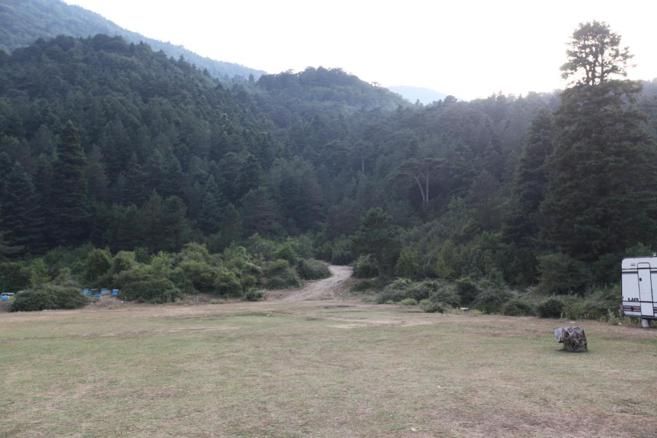 Hamiti Camping Center Dukat ภายนอก รูปภาพ
