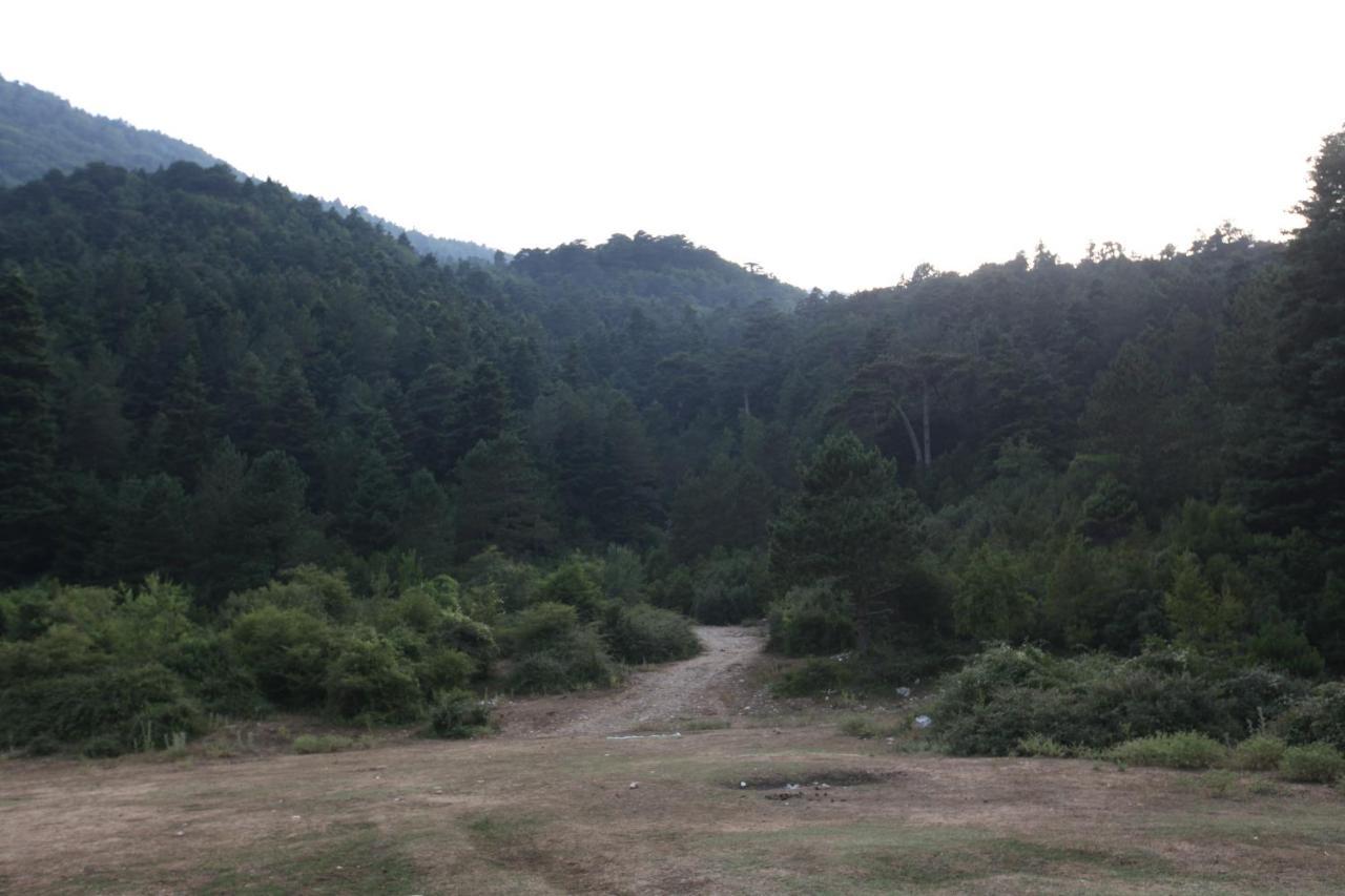 Hamiti Camping Center Dukat ภายนอก รูปภาพ