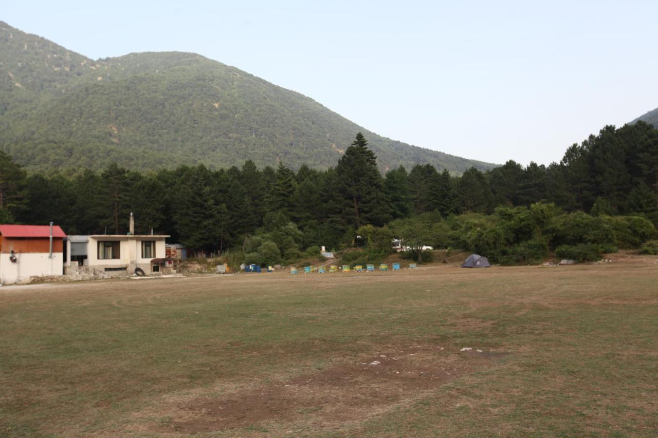 Hamiti Camping Center Dukat ภายนอก รูปภาพ